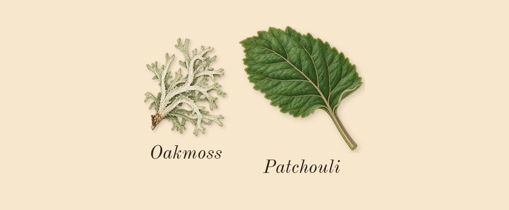 Labdanum 18, dry-down: Patchouli, Oakmoss