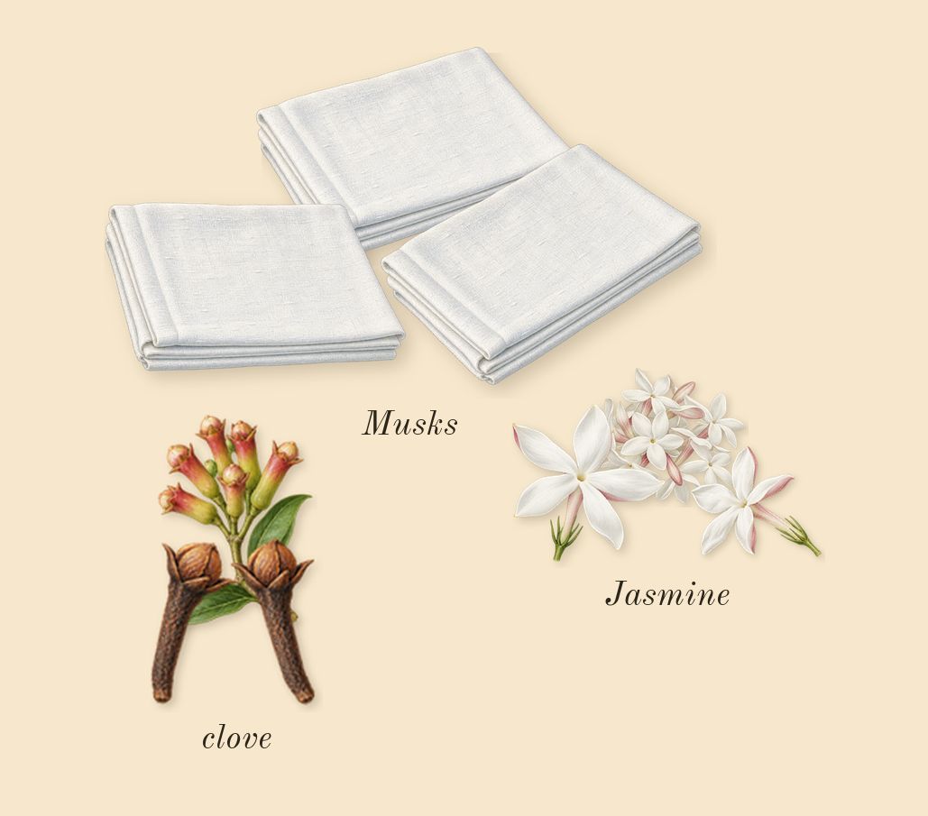 Limette 37, heart: Jasmine, clove, Musks
