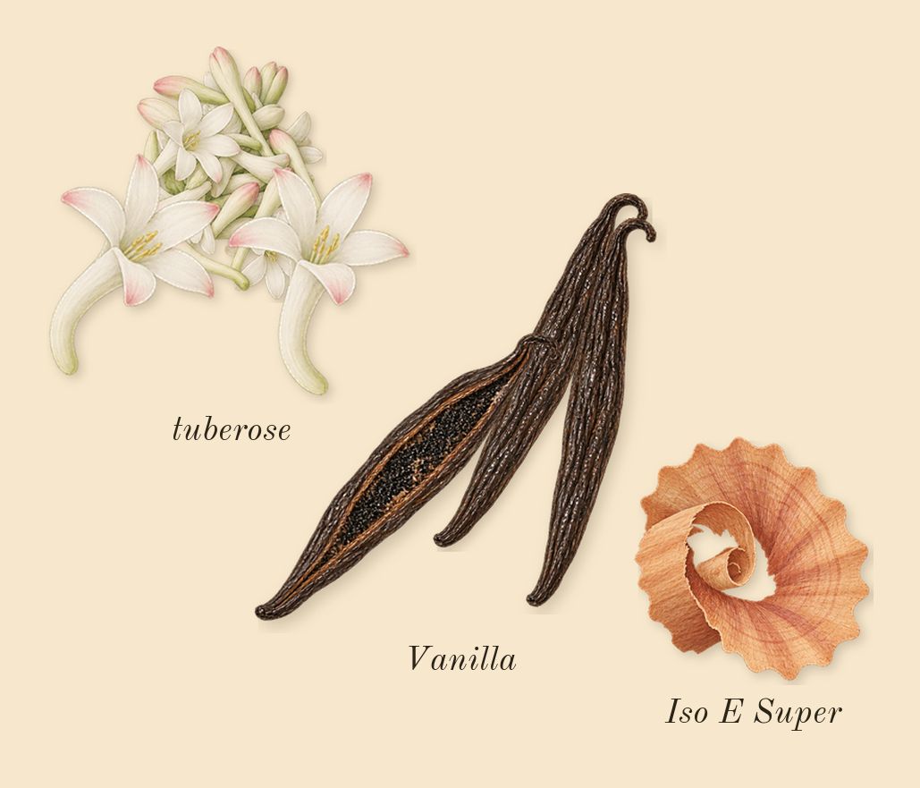 Lys 41, dry-down: tuberose, Vanilla, Iso E Super