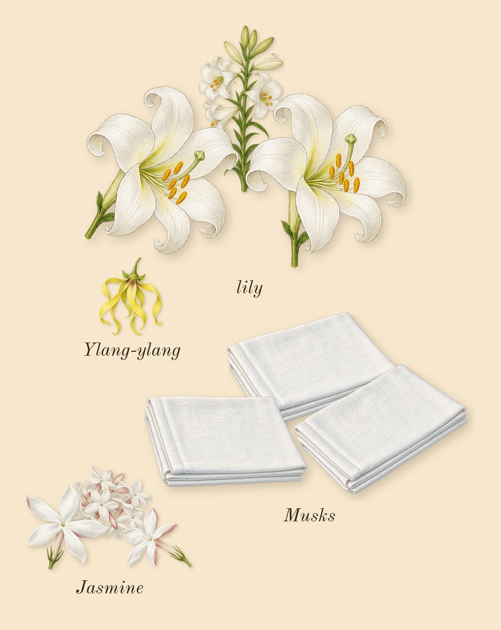 Lys 41, heart: Jasmine, lily, Musks, Ylang-ylang