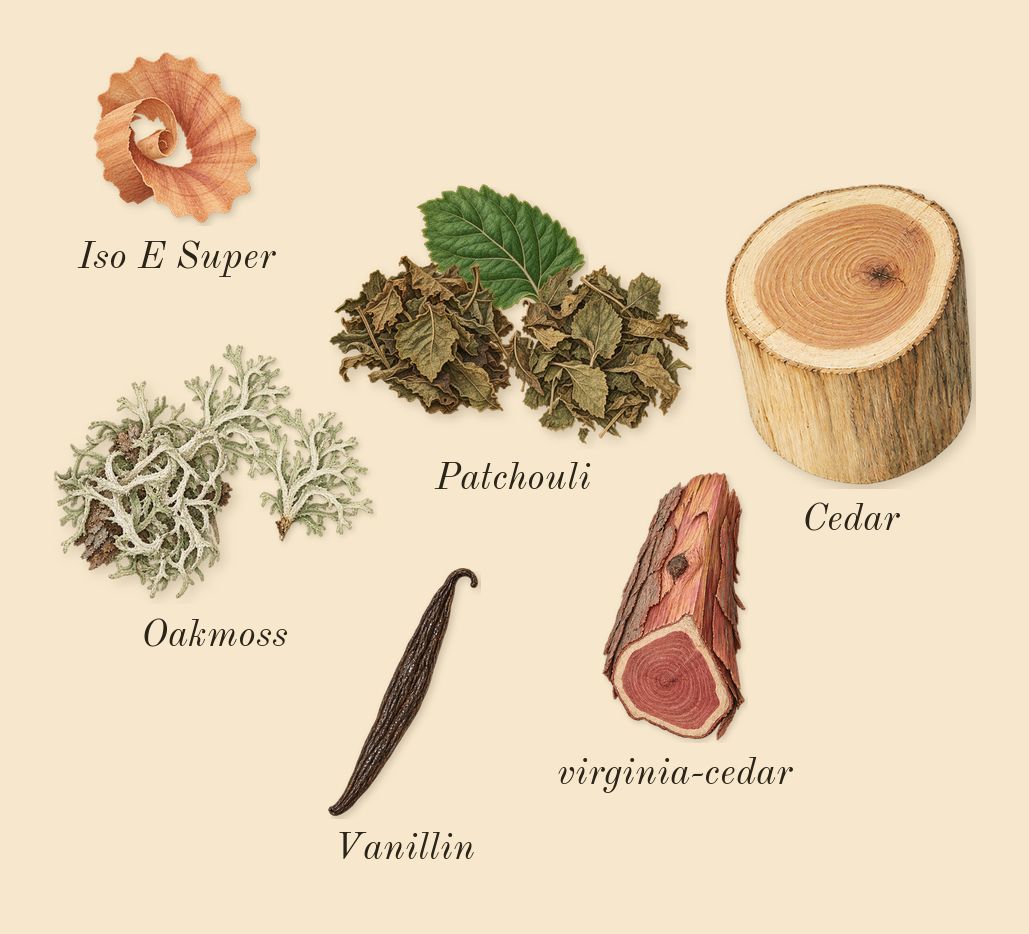 Mousse de Chêne 30, dry-down: Oakmoss, Patchouli, Cedar, virginia-cedar, Iso E Super, Vanillin