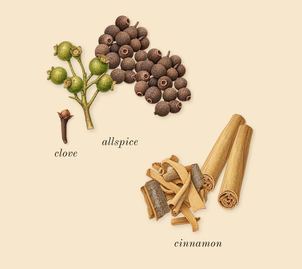 Mousse de Chêne 30, heart: cinnamon, allspice, clove