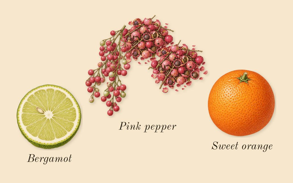 Mousse de Chêne 30, top notes: Pink pepper, Sweet orange, Bergamot