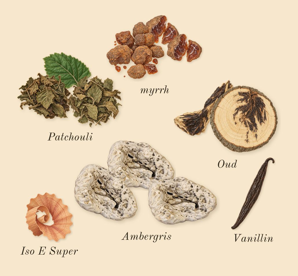 Myrrhe 55, dry-down: myrrh, Patchouli, Oud, Ambergris, Iso E Super, Vanillin