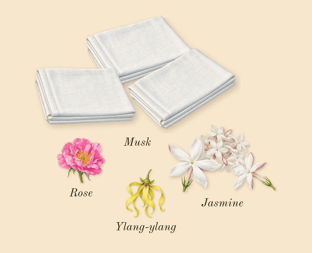 Myrrhe 55, heart: Jasmine, Musk, Ylang-ylang, Rose