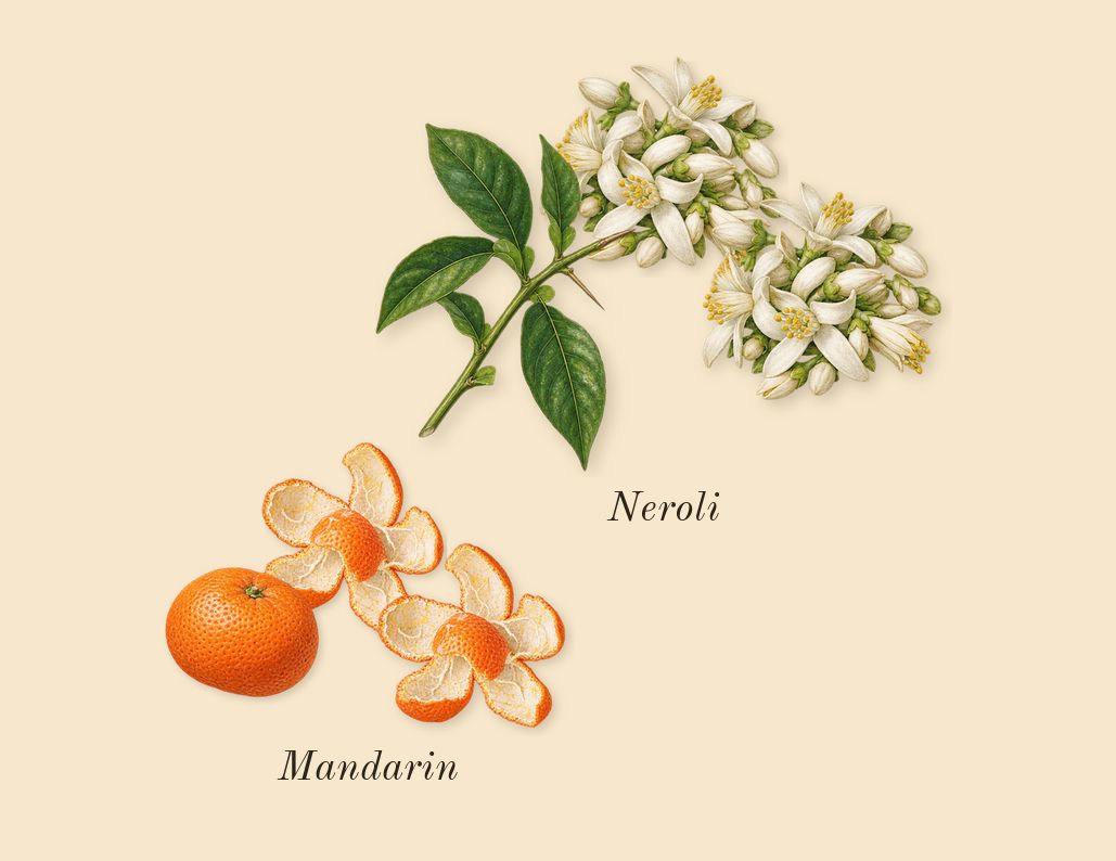 Neroli 36, top notes: Neroli, Mandarin
