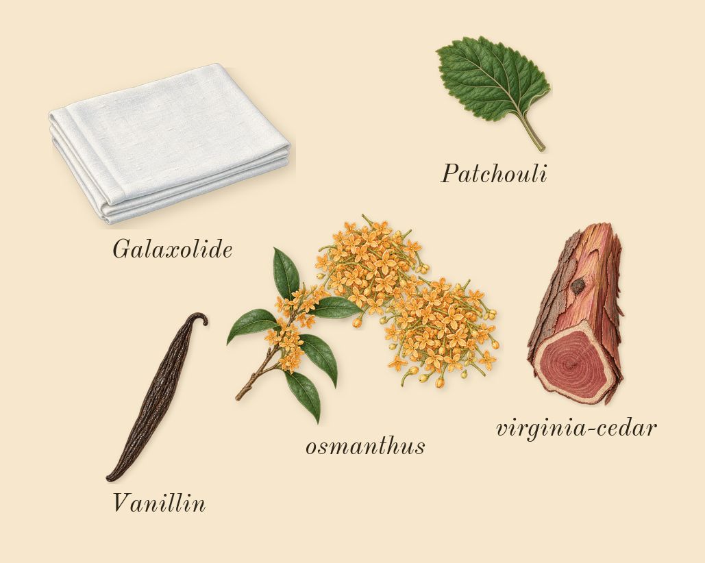 Osmanthus 19, dry-down: osmanthus, virginia-cedar, Patchouli, Galaxolide, Vanillin