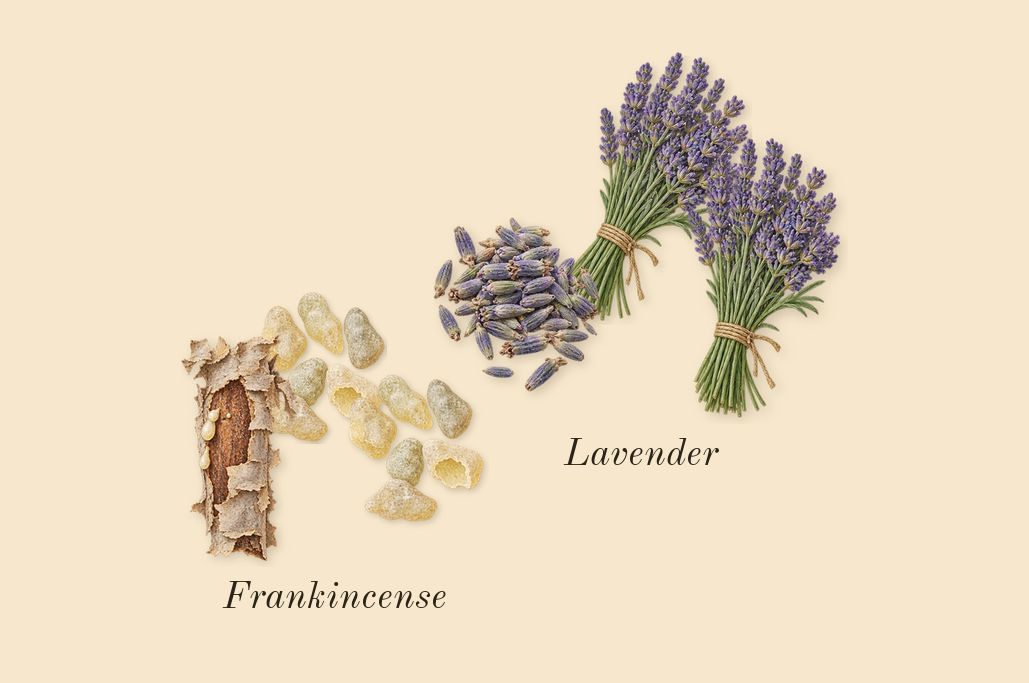 Osmanthus 19, top notes: Frankincense, Lavender