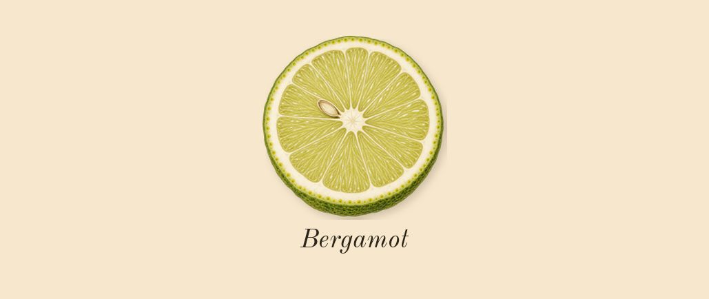 Patchouli 24, top notes: Bergamot