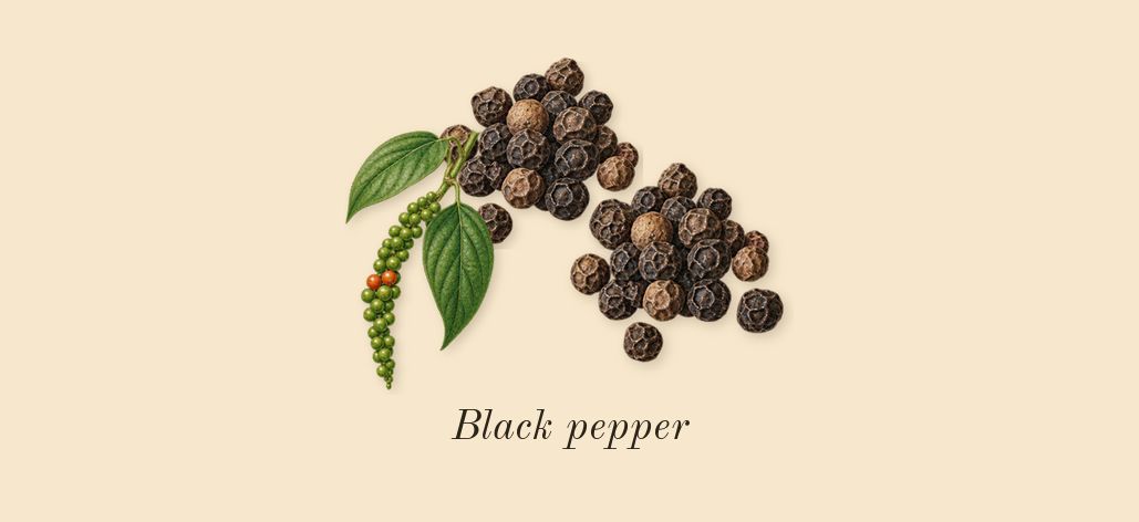 Poivre 23, top notes: Black pepper