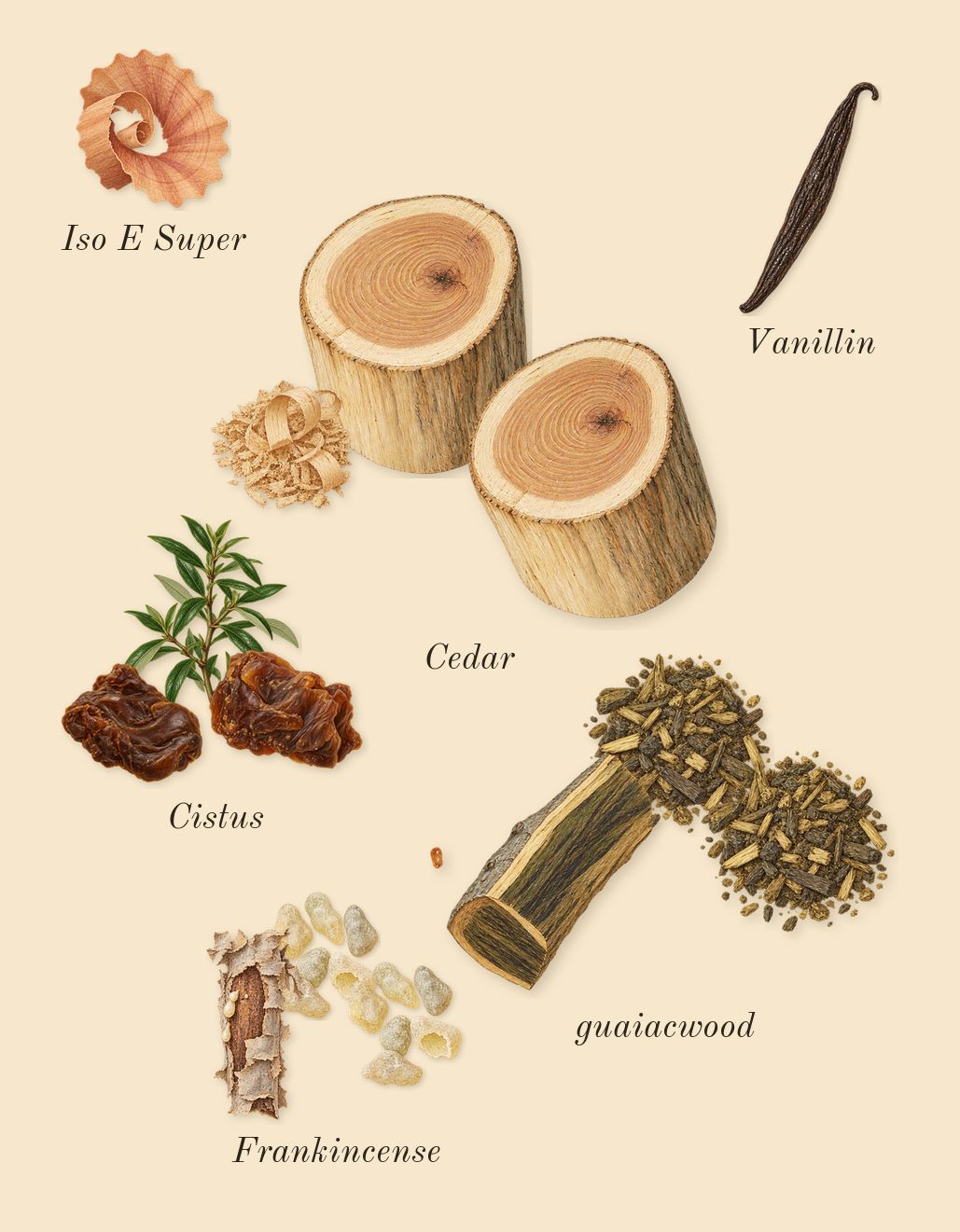 Rose 31, dry-down: Frankincense, Cedar, guaiacwood, Cistus, Iso E Super, Vanillin