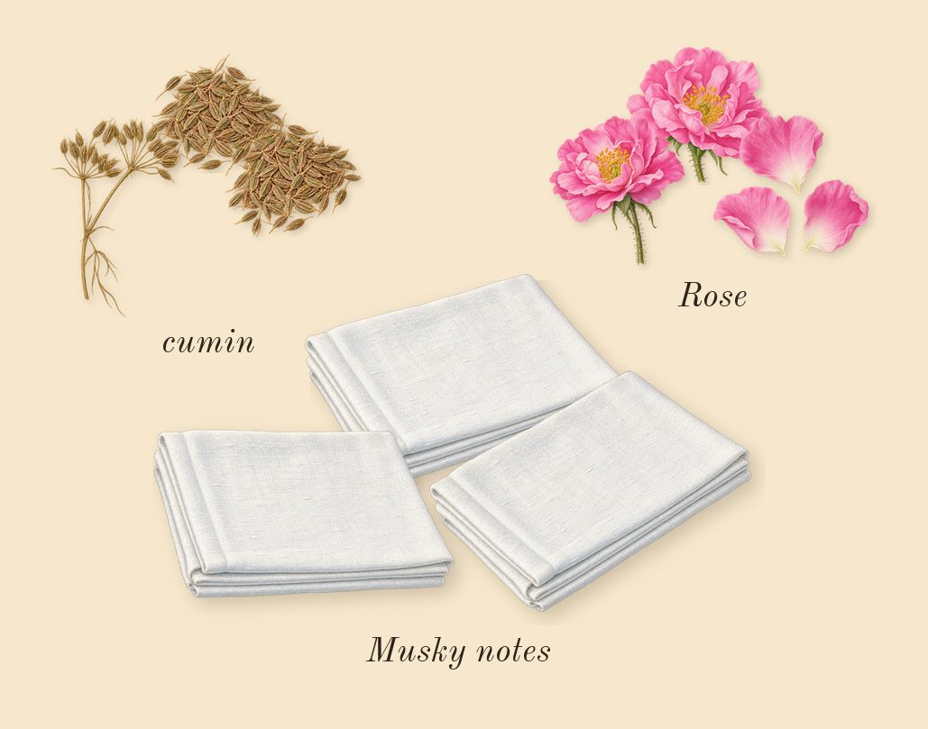 Rose 31, heart: Rose, cumin, Musky notes
