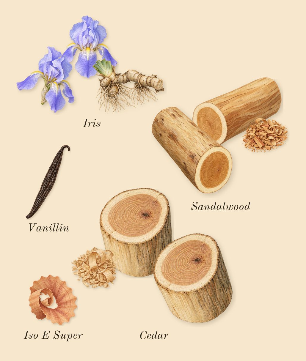 Santal 33, dry-down: Iris, Sandalwood, Cedar, Iso E Super, Vanillin
