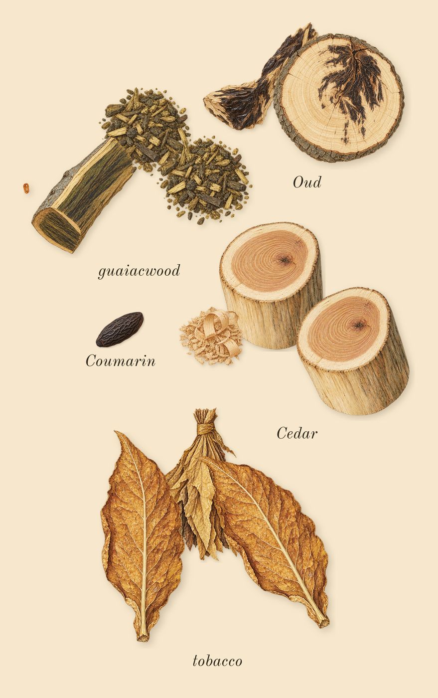 Tabac 28, dry-down: tobacco, Oud, Cedar, guaiacwood, Coumarin