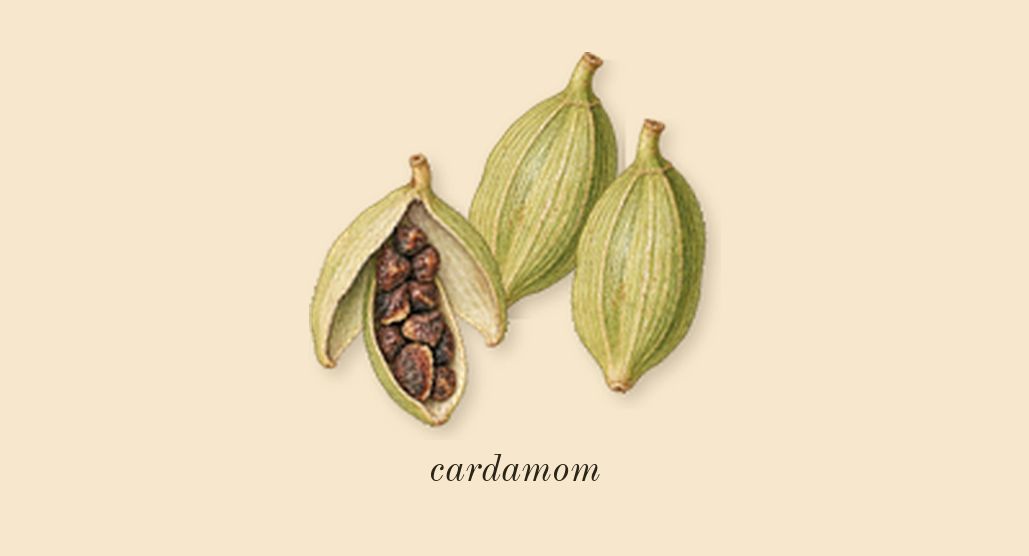 Tabac 28, top notes: cardamom