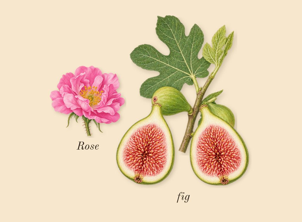 Thé Matcha 26, heart: fig, Rose