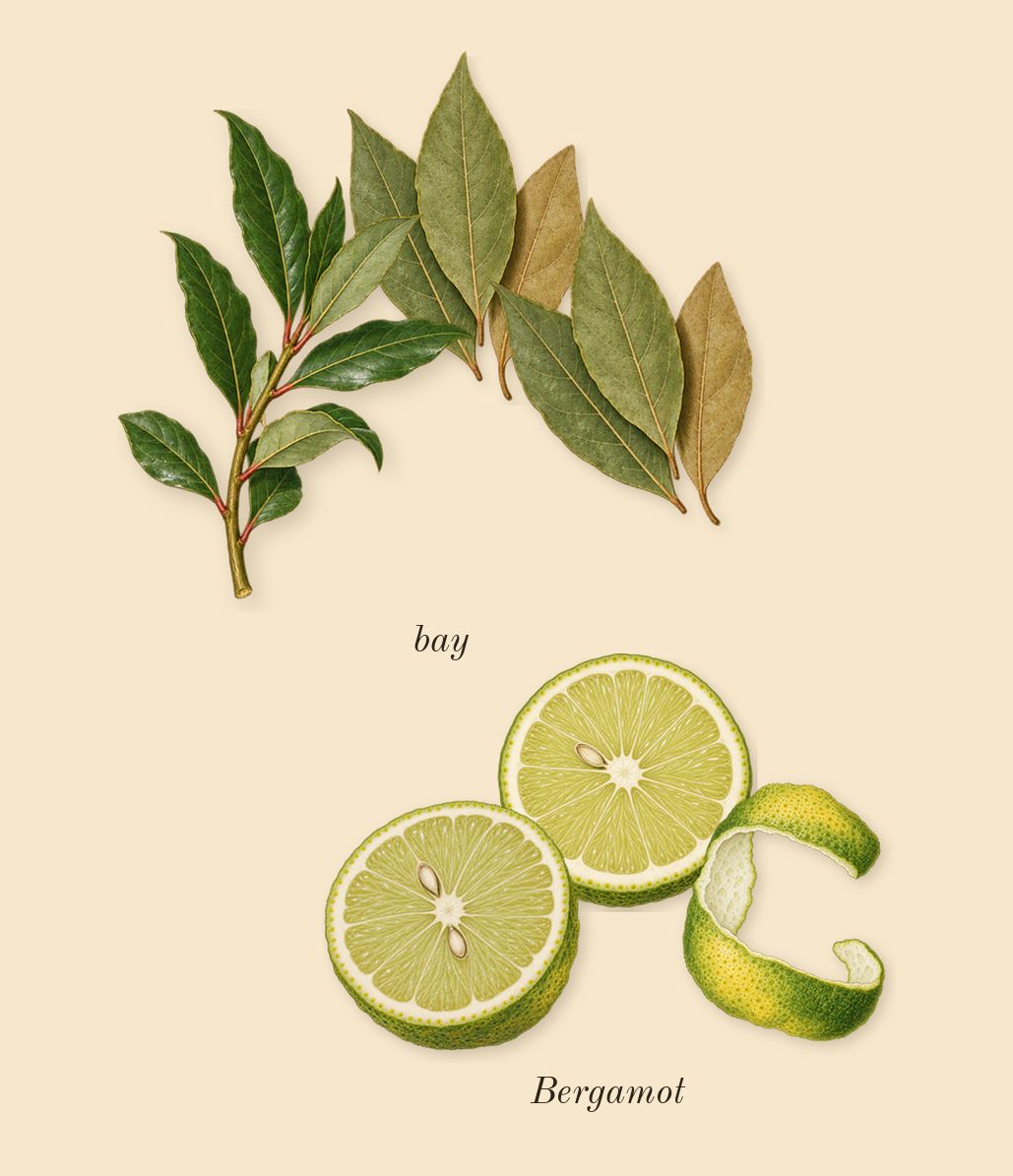 Thé Noir 29, top notes: Bergamot, bay