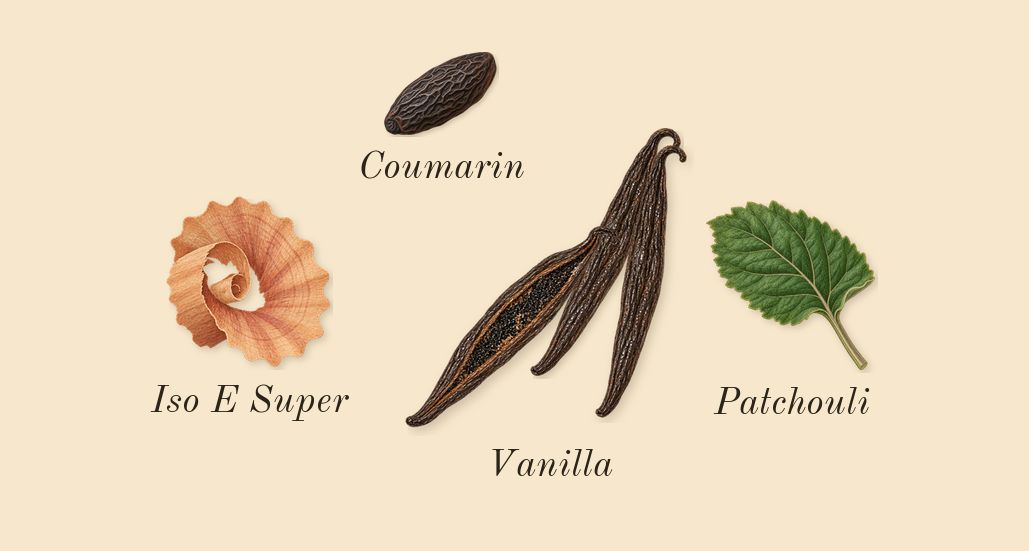 Vanille 44, dry-down: Vanilla, Patchouli, Iso E Super, Coumarin