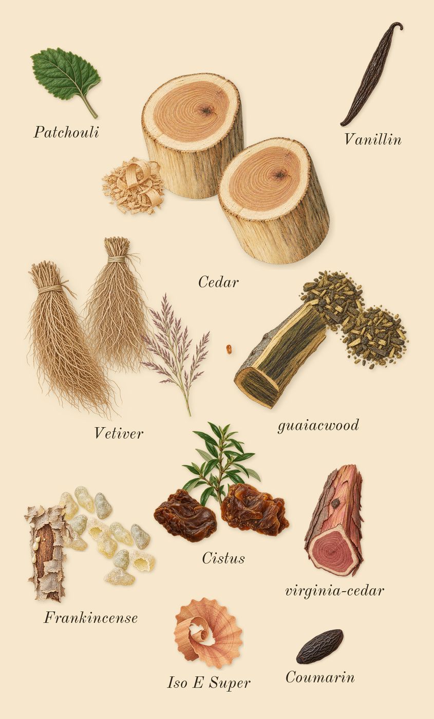 Vetiver 46, dry-down: Vetiver, guaiacwood, Cistus, Cedar, Frankincense, virginia-cedar, Patchouli, Iso E Super, Coumarin, Vanillin