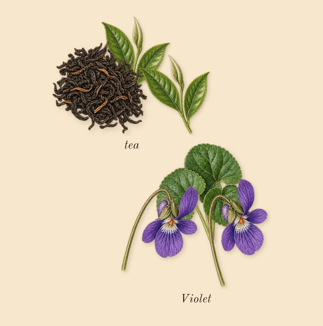 Violette 30, top notes: Violet, tea