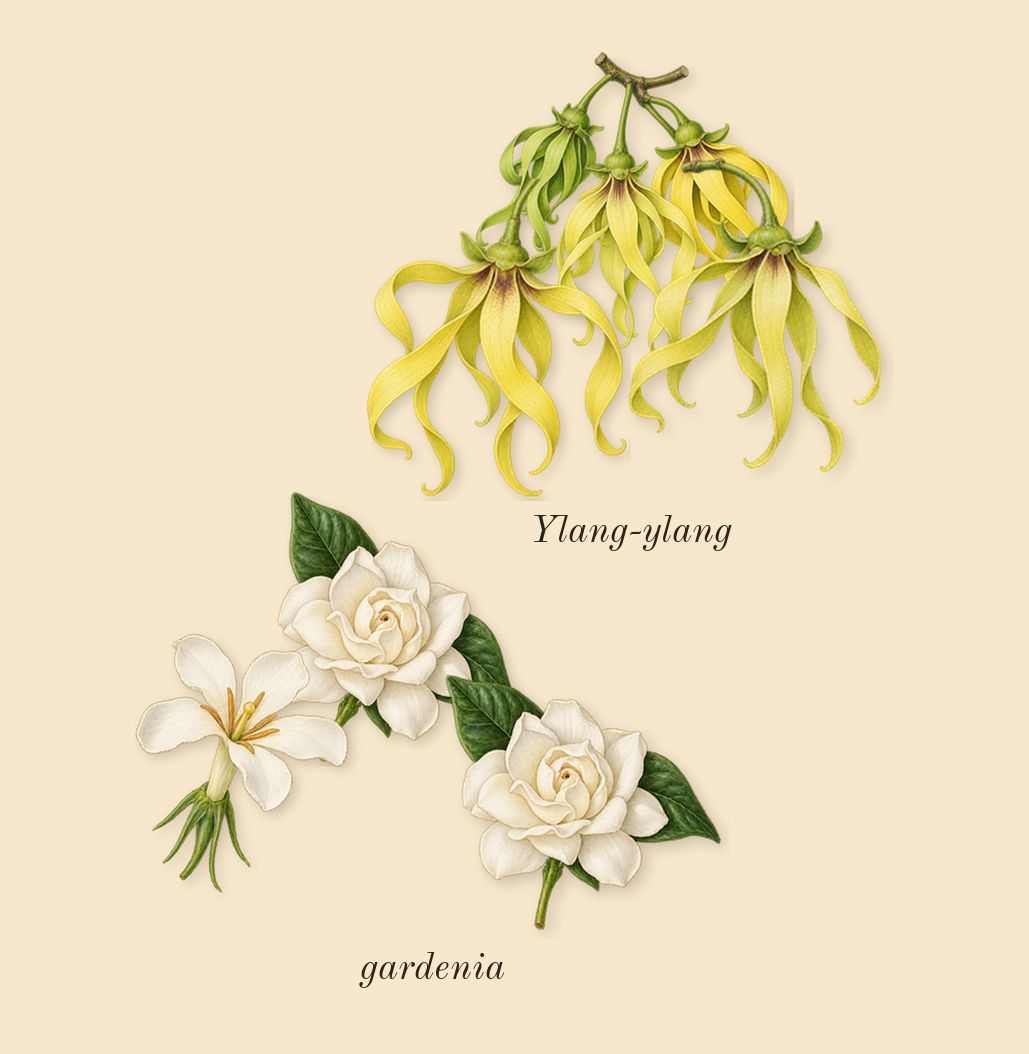 Ylang 49, heart: Ylang-ylang, gardenia