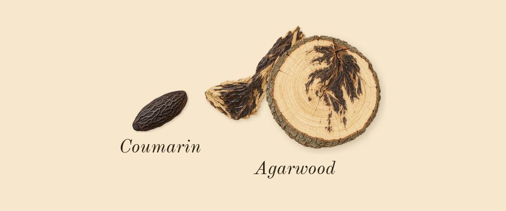 Leather Sadah, dry-down: Agarwood, Coumarin