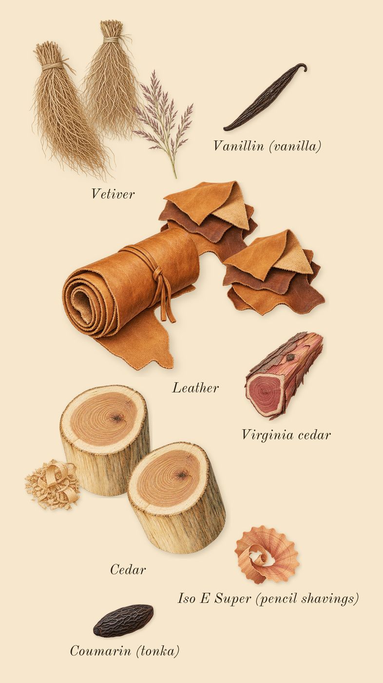 Zephirine, dry-down: Leather, Vetiver, Cedar, Virginia cedar, Iso E Super (pencil shavings), Coumarin (tonka), Vanillin (vanilla)