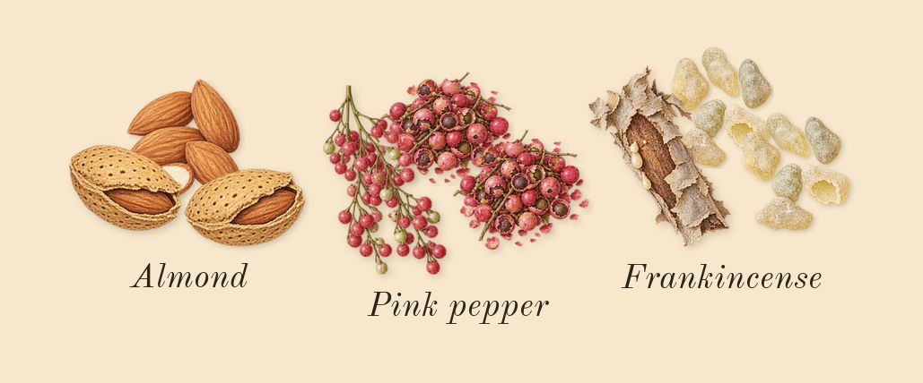 Celestial Object, top notes: Pink pepper, Frankincense, Almond