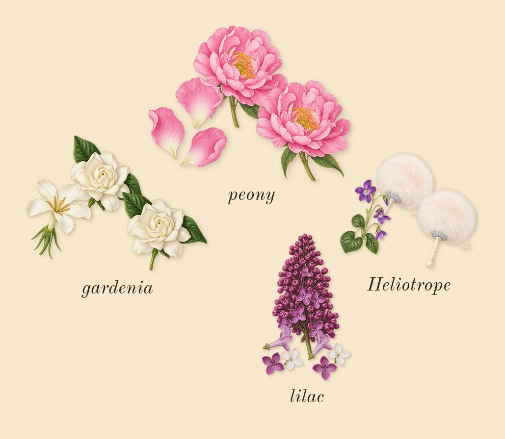 Lilac Love, top notes: lilac, Heliotrope, peony, gardenia