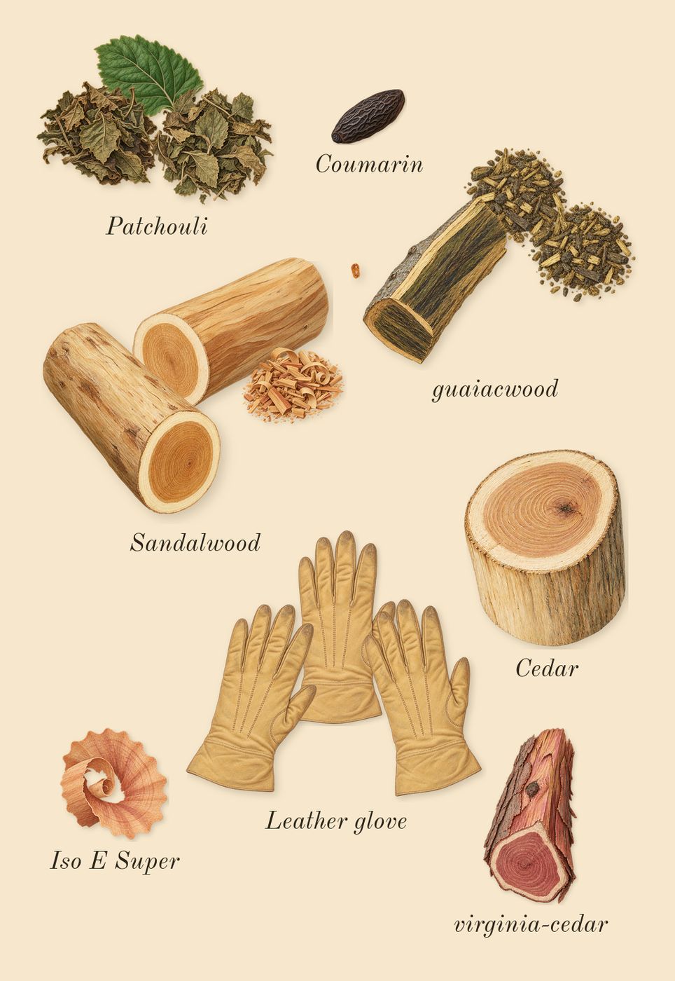 Line 618, dry-down: Patchouli, Sandalwood, guaiacwood, Leather glove, virginia-cedar, Cedar, Iso E Super, Coumarin