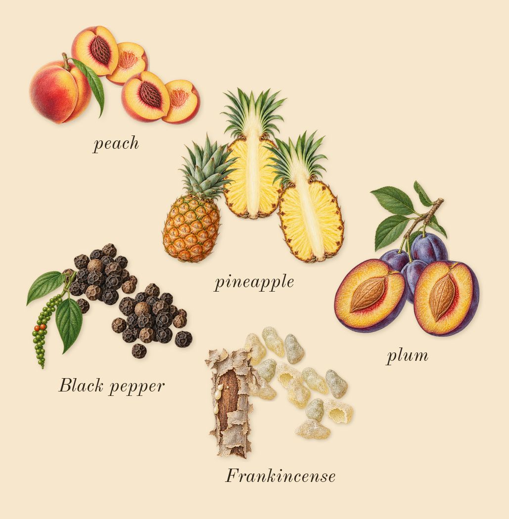Line 618, top notes: Frankincense, Black pepper, pineapple, peach, plum