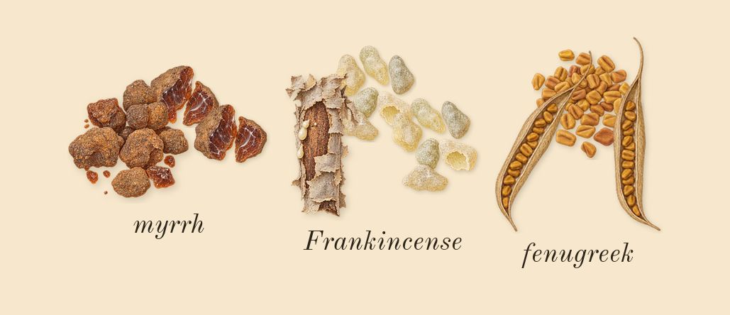 Lineage, heart: Frankincense, fenugreek, myrrh