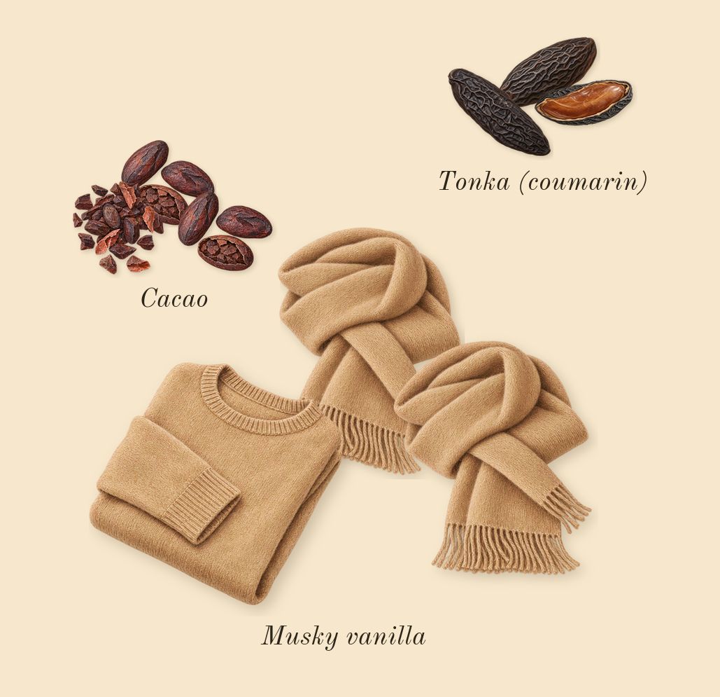 Blanche Bête, dry-down: Tonka (coumarin), Cacao, Musky vanilla