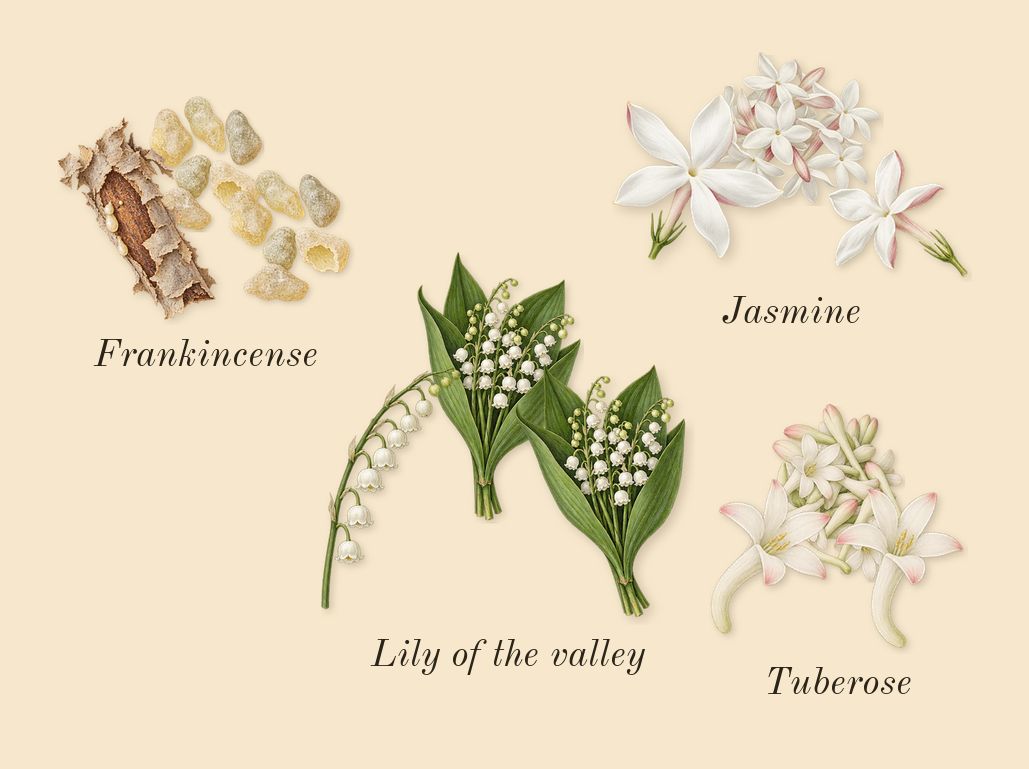 Blanche Bête, heart: Jasmine, Tuberose, Lily of the valley, Frankincense