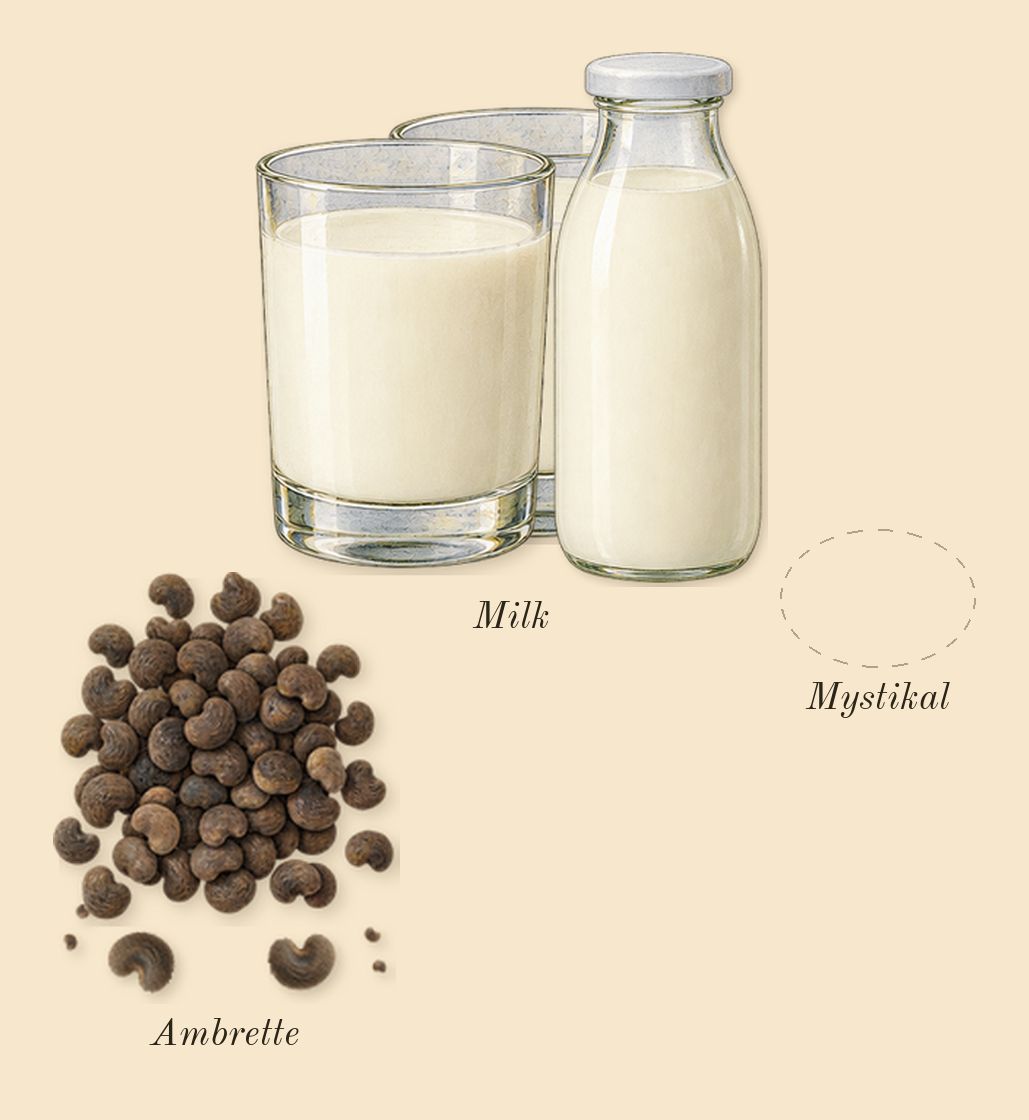 Blanche Bête, top notes: Ambrette, Milk, Mystikal