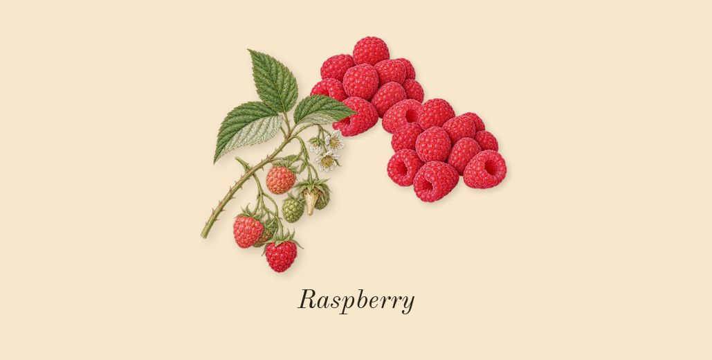 Ombre Nomade, heart: Raspberry