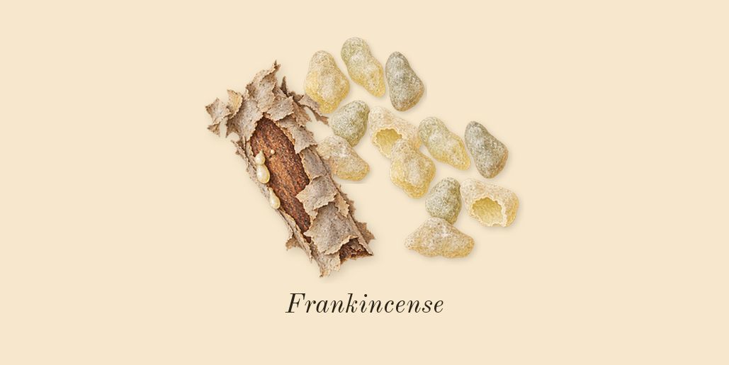 Ombre Nomade, top notes: Frankincense