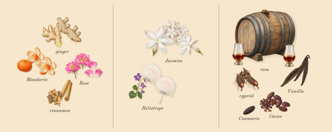 Love Delight’s scent picture, a draft: ginger, mandarin, rose, cinnamon, heliotrope, jasmine drawn so far; dashed outlines where nothing is drawn yet