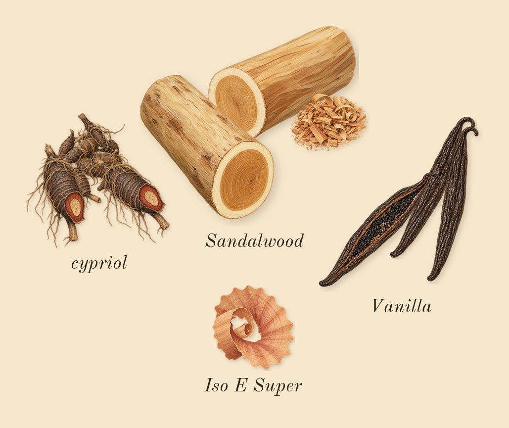 Love Hibiscus, dry-down: Sandalwood, cypriol, Vanilla, Iso E Super