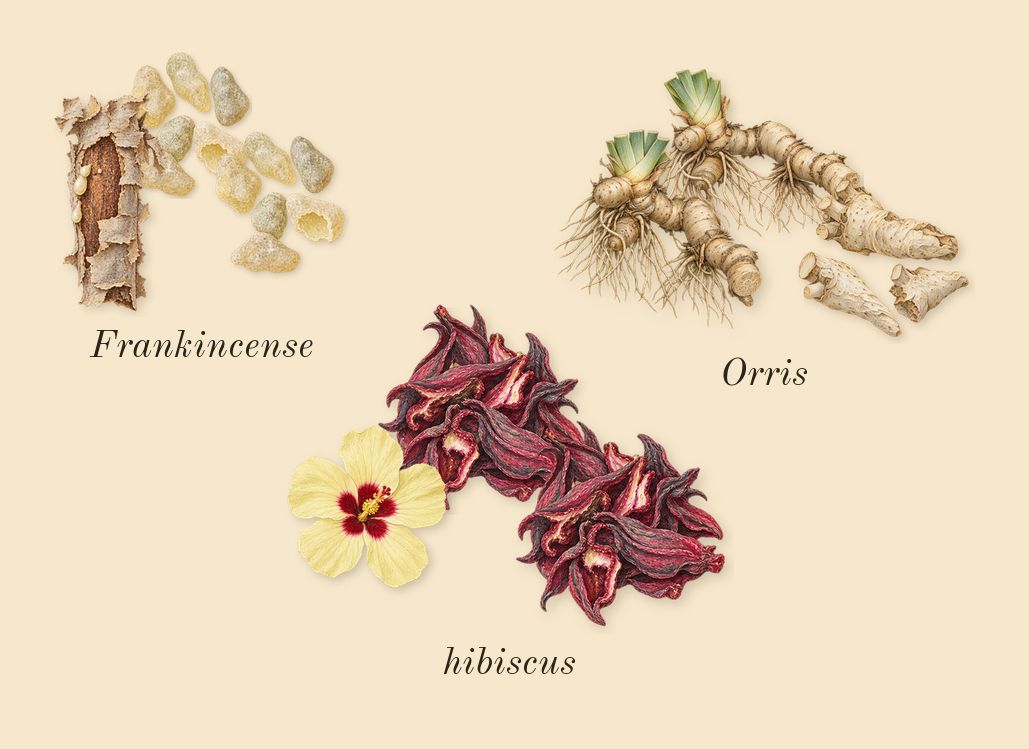 Love Hibiscus, heart: hibiscus, Orris, Frankincense