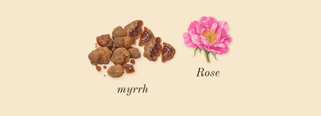 Luban Al Akhdar, heart: myrrh, Rose