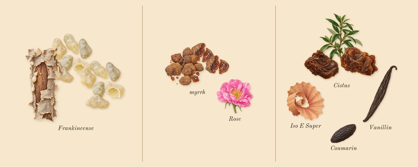 Luban Al Akhdar’s scent picture, a draft: frankincense, myrrh, cistus, rose, coumarin, iso e super drawn so far; dashed outlines where nothing is drawn yet