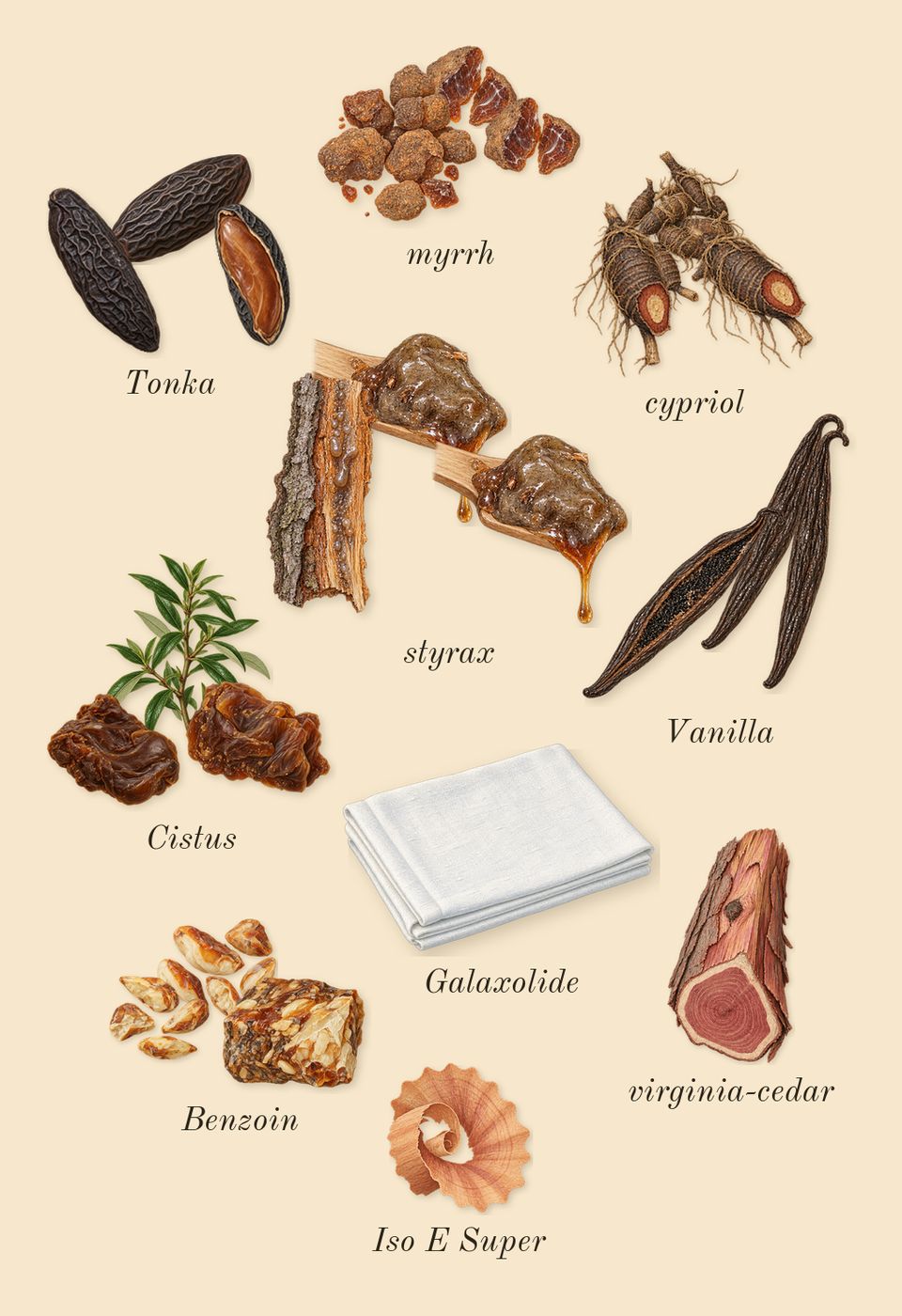 Lustre, dry-down: Benzoin, Cistus, Vanilla, cypriol, styrax, Tonka, myrrh, virginia-cedar, Iso E Super, Galaxolide