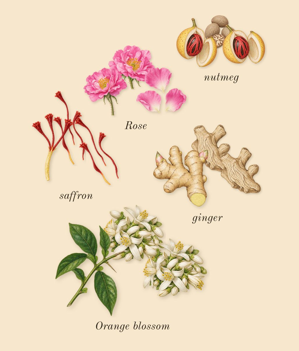Lyric Man, heart: Rose, Orange blossom, ginger, nutmeg, saffron