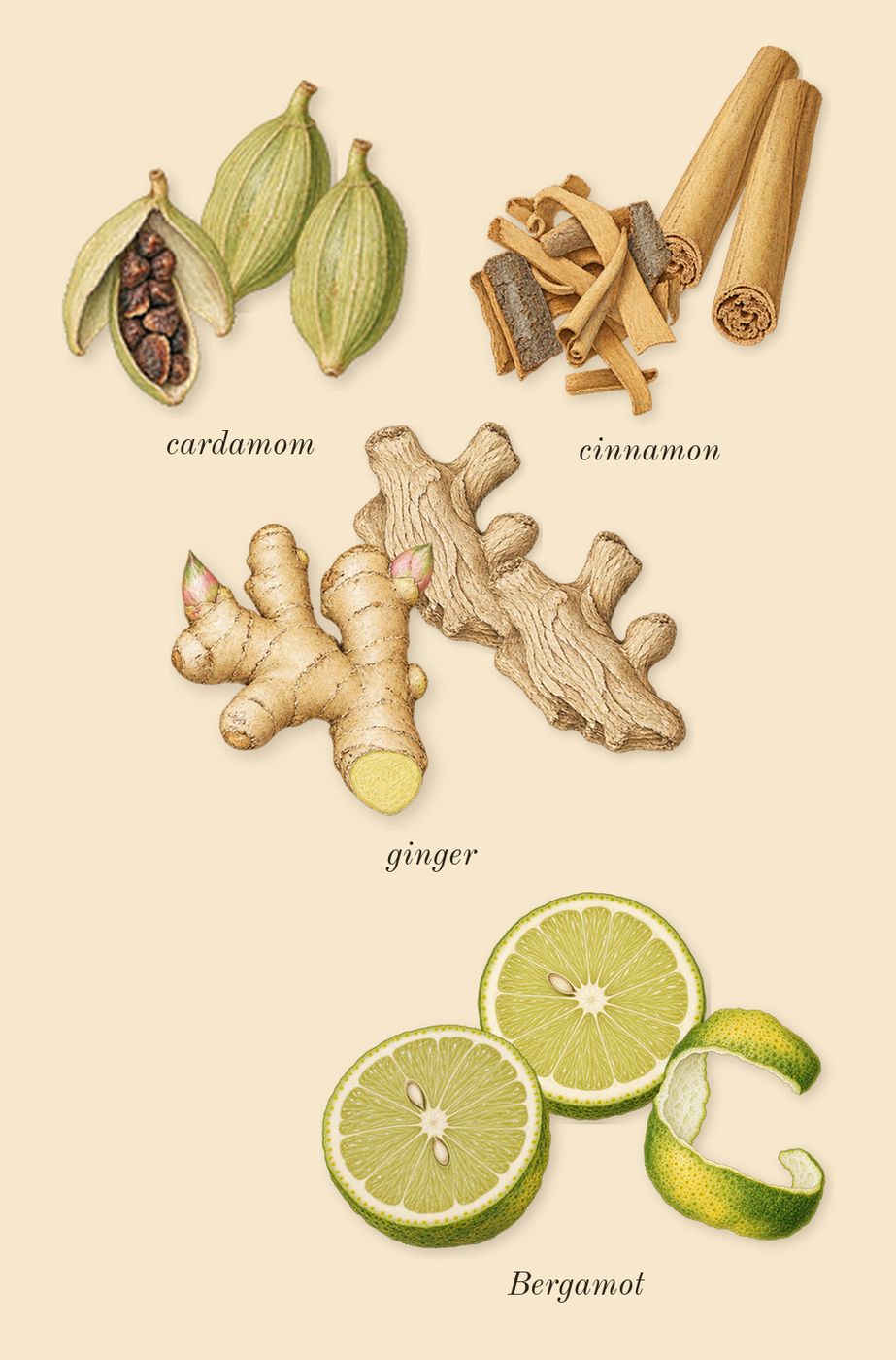 Lyric Woman, top notes: Bergamot, cardamom, cinnamon, ginger