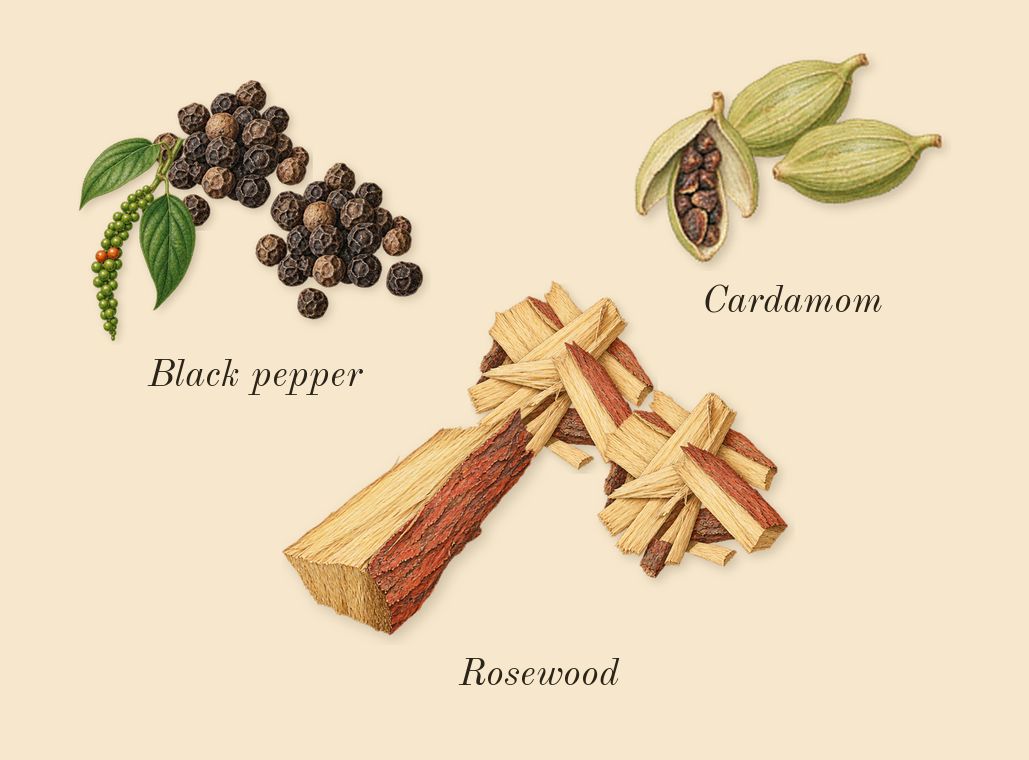 Dark Aoud, top notes: Cardamom, Black pepper, Rosewood
