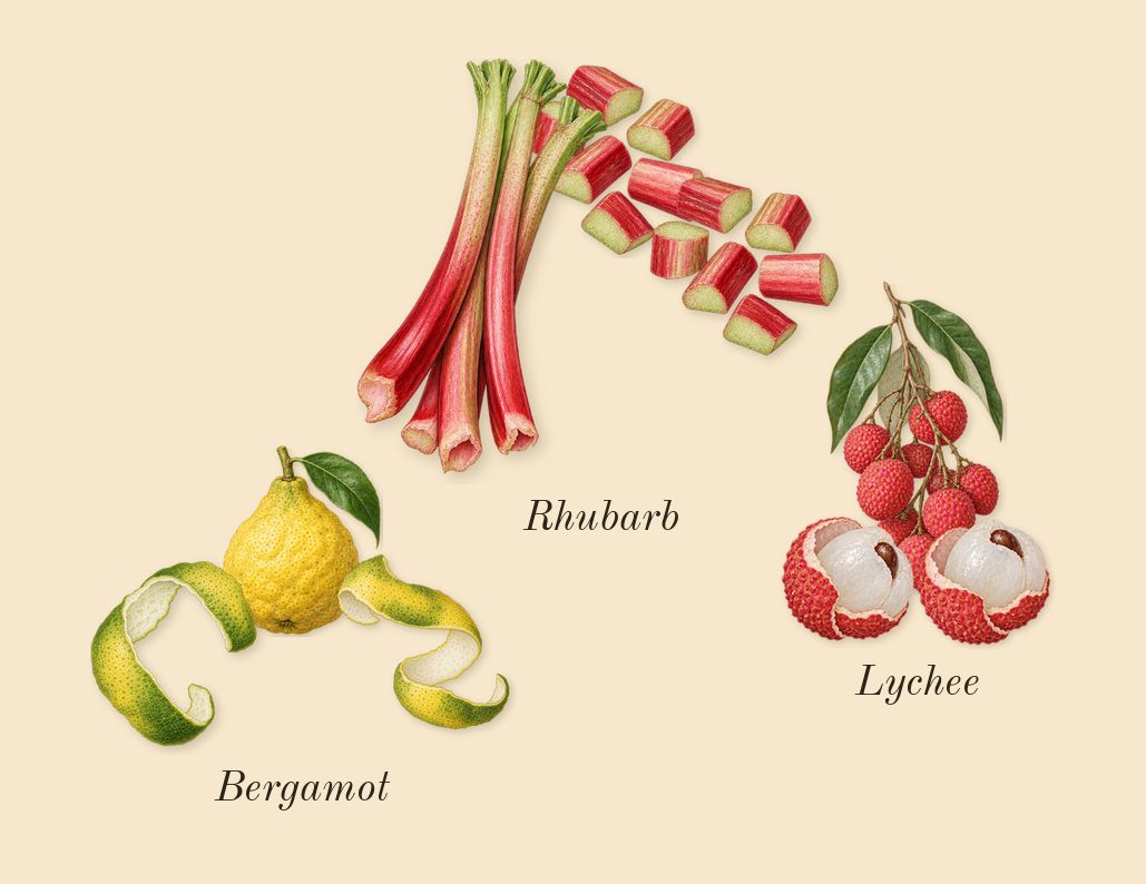 Delilah, top notes: Bergamot, Lychee, Rhubarb, Frankincense