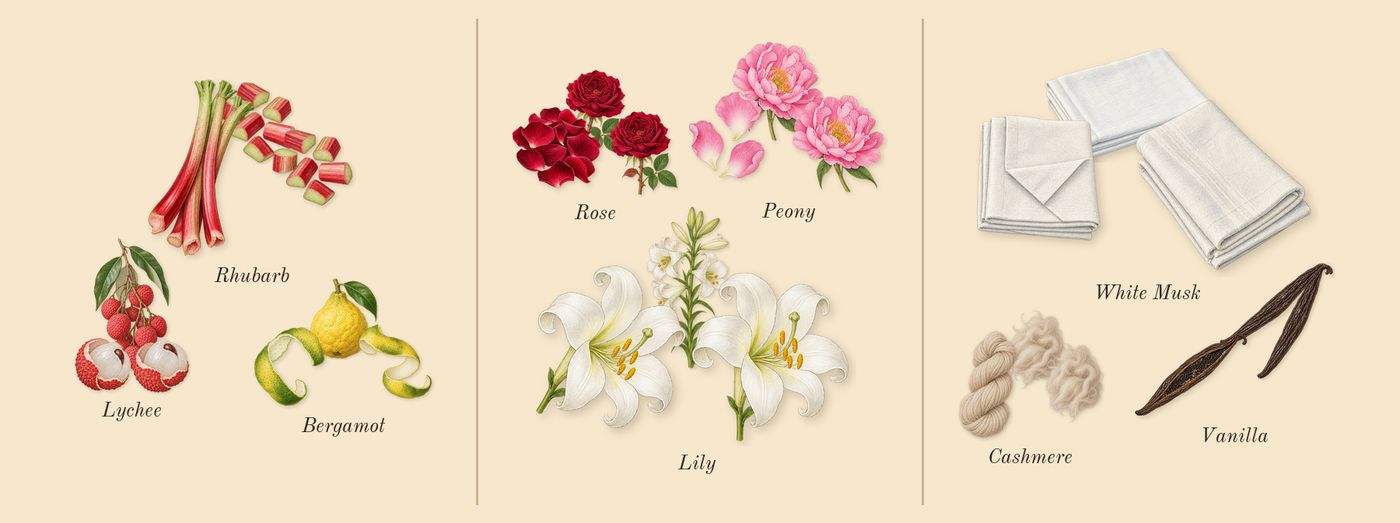 Delilah’s scent picture, a draft: bergamot, lychee, rhubarb, peony, lily, rose drawn so far; dashed outlines where nothing is drawn yet
