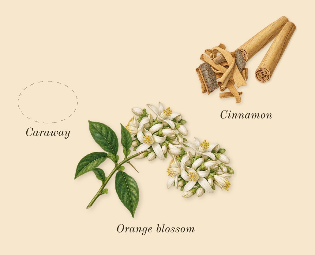 Glacier Pour Homme, heart: Cinnamon, Orange blossom, Caraway