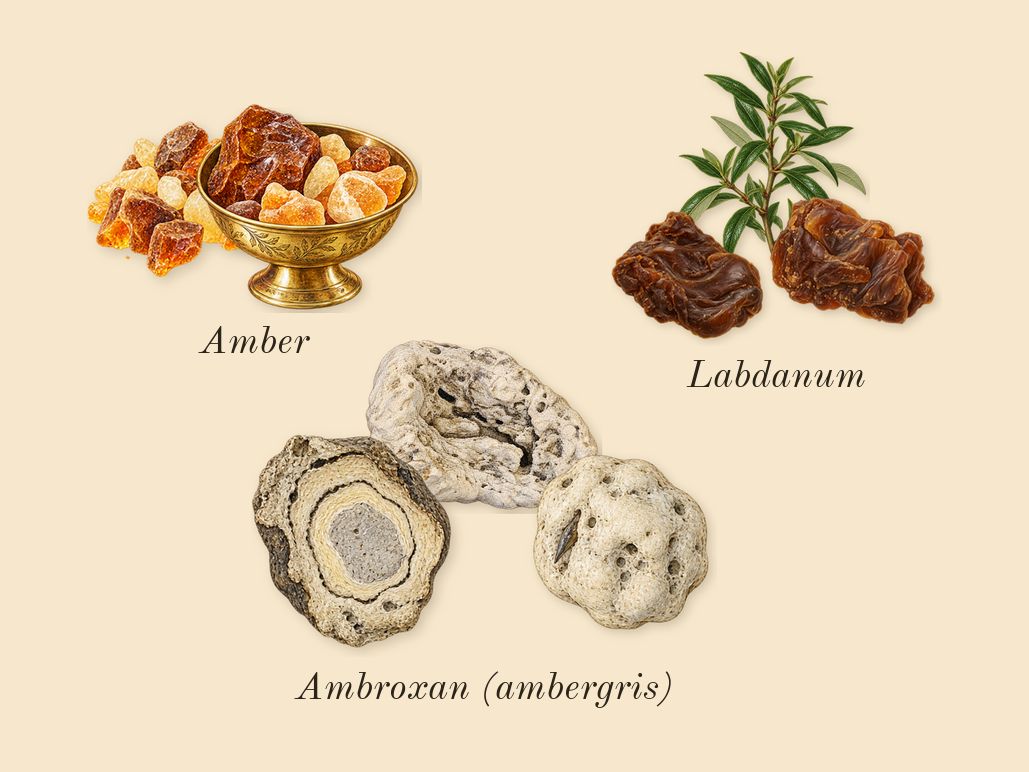 Jean Lowe Immortal, dry-down: Ambroxan (ambergris), Amber, Labdanum
